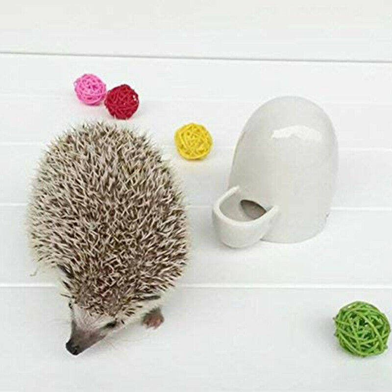 Hamster Drinking Water Feeder Ceramics Slient Bottle Waterer Automatic Smal Z8V9