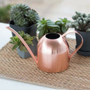 Stainless Steel Watering Can Kettle Garden Home Bottle Plants Flower SprinklZ9Y4