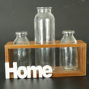 Tabletop Glass Terrarium for Hydroponics Plants Home Decor-3 Bottle