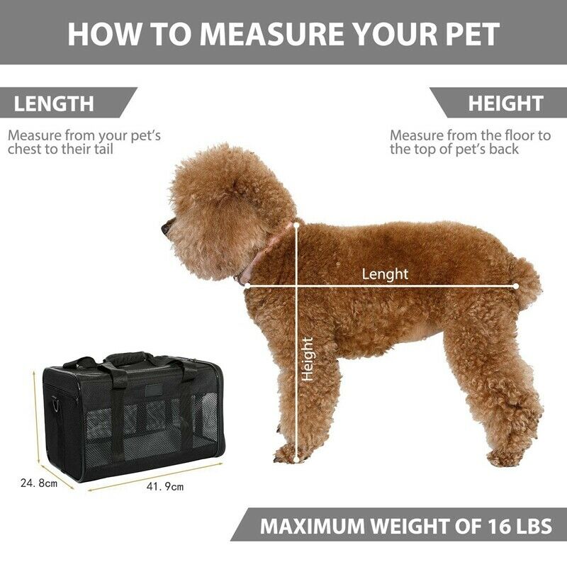 Collapsible Pet Carrier For Cat And Puppy,Top Loading, Sturdy Bottom, Adjus