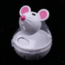 2 Pcs Kitty Cat Exercise Training Toys Pet Food Dispenser Biting Chewing Playing