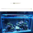 Plant Syringe Plastic Injector With Stainless Steel Needle for Industrial