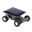 Solar Power Energy Frightened Grasshopper Insect Bug Locust B7Y2