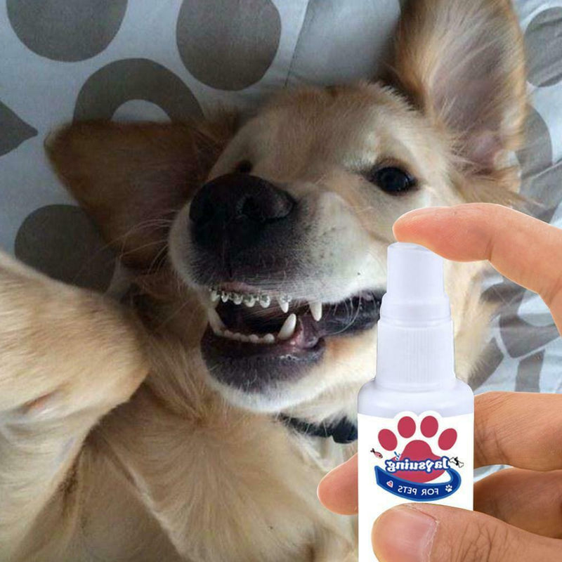 Breath Freshener Spray Pet Dog Teeth Cleaner Dog Cat Oral Healthy Dental Care