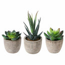 3Pcs Artificial Succulent Potted Plant Small Pots 7/8/14cm Indoor Outdoor Decor