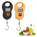 50Kg /10G Mini Digital Hanging Scale for Fishing Luggage Travel Weighting S