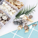 Seashells Corn Screw Wall Decoration DIY Aquarium Landscape  New