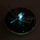 Solar Power LED RGB Color Change Floating Night Light Path Pool Pond Lamp New *