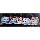 5D DIY Full Drill Diamond Painting Cat Animal Cross Stitch Embroidery Kits