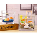 Tabletop Square Aquarium Fish Glass Vase Tank Plant Home Decoration 10x10x10cm