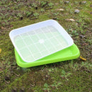 4Pc/Set Plant Flower Germination Tray Box Double-Layer Seed Sprouter Nurser