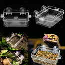 2 Pieces Transparent Tortoise  Reptile Water Food