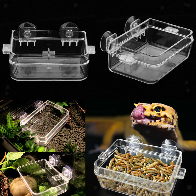 2 Pieces Transparent Tortoise  Reptile Water Food
