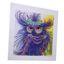 5D Owl Diamond Painting Special Rhinestone for Beginner Home Decor 30x30cm