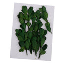 Natural Dried Flowers Bouquet Dry Flowers Decorative Leaf Bouquet ,Real Pressed
