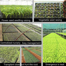 200Cells Seedling Growing Cases Germination Plant Propagation Nursery Seed  OZ