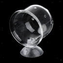 5Pcs Aquarium Fish Tank Feeding Glass Cup Aquatic Plant Crystal Holder Feeder