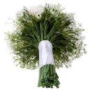 Bride Holding Flowers Romantic Wedding Colorful Gypsophila Bride 'S Bouquet