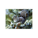 Squirrel DIY 5D Diamond Painting Embroidery Cross Stitch Kit Home Wall Decor