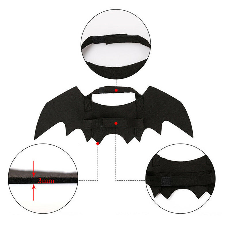 Animal Pet Dog Cat Bat Vampire Halloween Black Fancy Dress Costume Outfit Wings