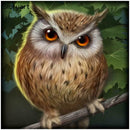 Gloryart 5D DIY Full Drill Diamond Painting Owl Embroidery Crafts Cross Stitch