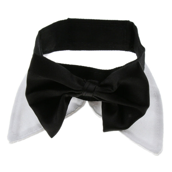 Adjustable Pet Dog Collar Special Designed Collars for Dogs Cats White S