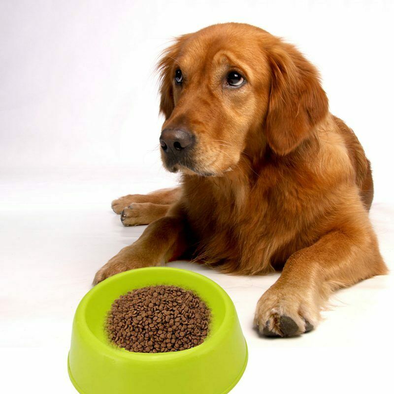 Pet Bowls for Cats and Dog Durable Bowl for Puppy Non-Toxic Kitten Food Wat