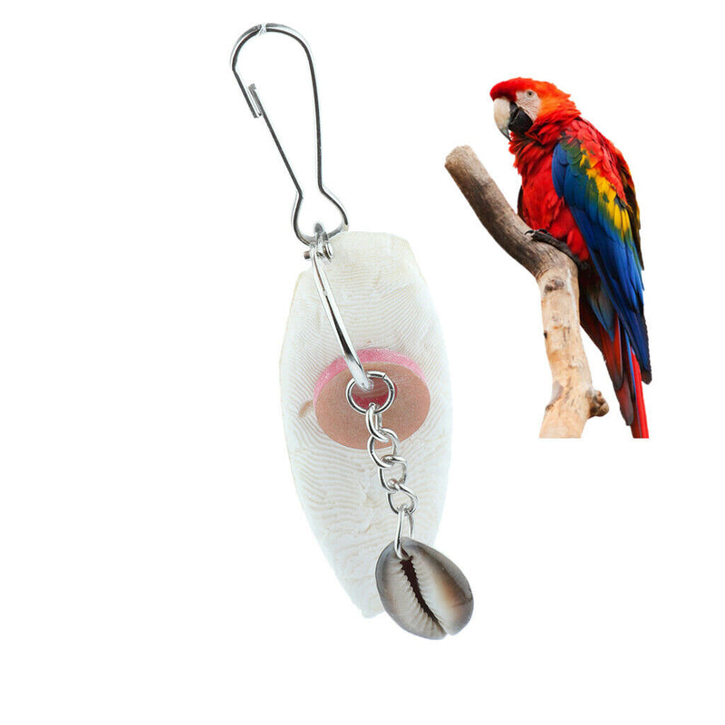 Parrot Large Mirror Bird Mirror with Rope Perch & Chewing Shell Interactive