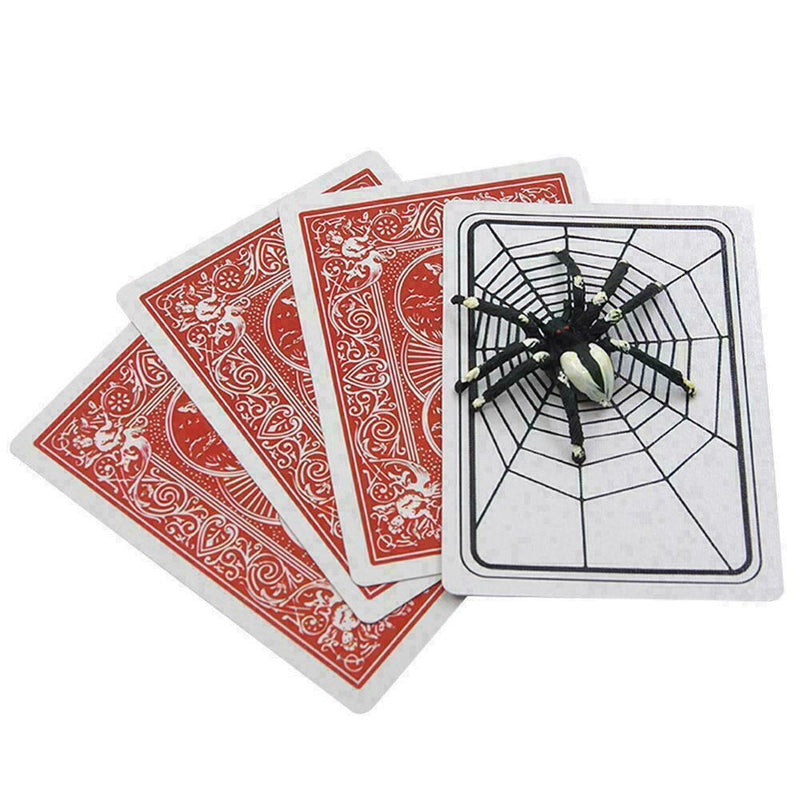 Spider  Close-Up Pocket Street Halloween Tricky X7I5 P8A2