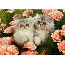 5D DIY Full Drill Diamond Painting Flower Cat Cross Stitch Embroidery Craft