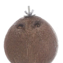 New Natural Coconut Shell Bird Nest House Hut Cage Feeder Pet Parrot Parakeet