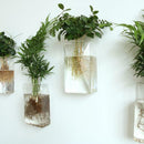 2x Wall Hanging Flower Vase Terrarium Container Plant Holder Garden Yard DIY