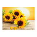 5D Diamond Painting DIY Sunflowers Embroidery Round Rhinestone Cross Stitch