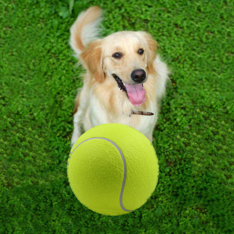 9.5" /24cm Big Giant Pet Dog Puppy Tennis Ball Thrower Chucker Launcher Play~,a