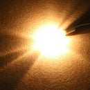30PCS Mini G4 JC Type Halogen Light Bulbs 20W DC 12V Lamp For Crystal Chandelier