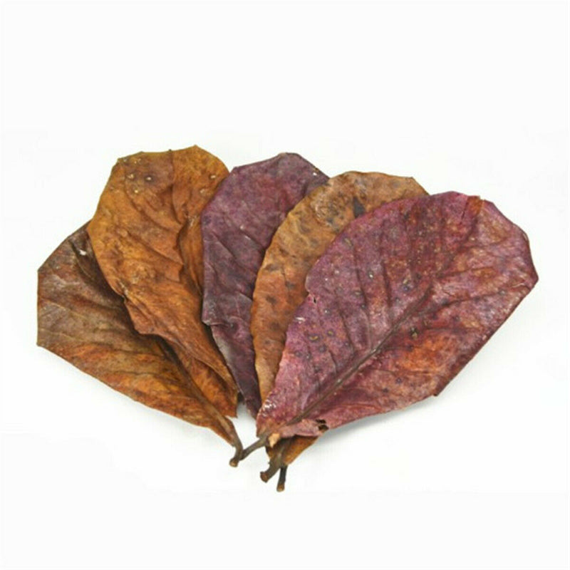 10pcs Natural Almond Leaves Shrimp Fish Aquarium Care Make Water Decor Supply