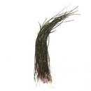 Fly Tying Peacock Herl Pack 3 to 7 Inch Feathers Wire Tying Materials 3C