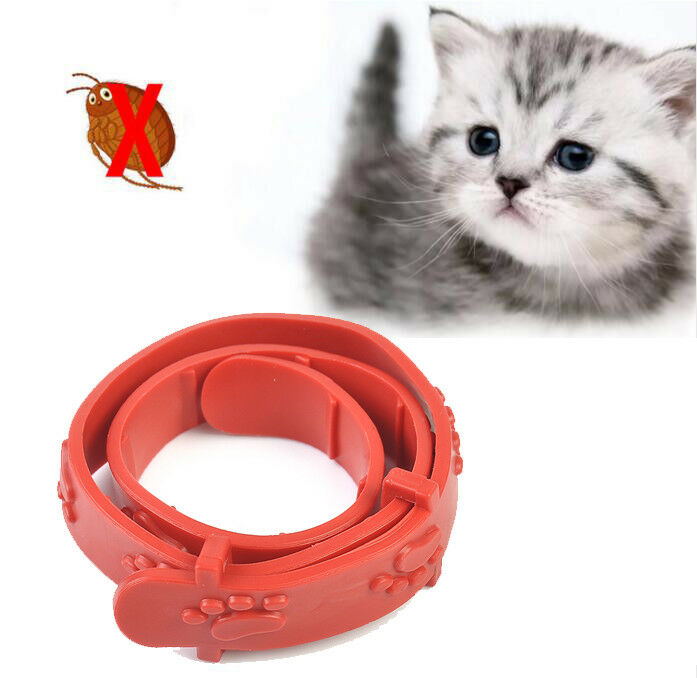 Practical Insecticidal Anti Flea Pet Cat Collar Adjustable Dog Ring Neck Straps