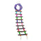 Colorful Bird Ladder Bridge Helps Birds with Balance , Durable & Flexible, Easy