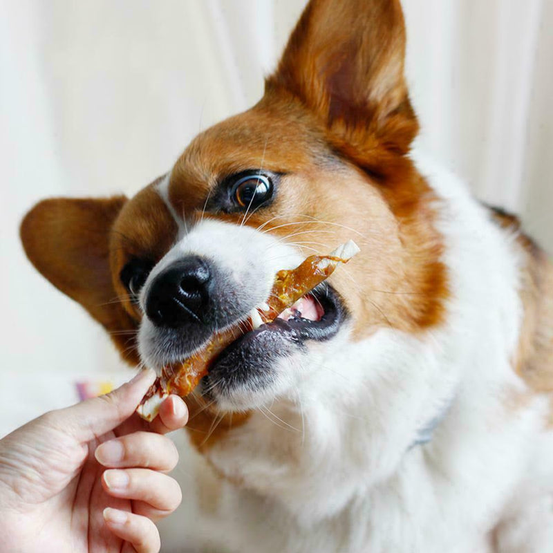 110g Chicken Wrapped Jerky Beef Twists Chews Snacks Supplies Rawhide Treats L2Z5