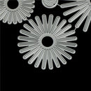 6Pcs Leaves Flowers Metal Cutting Dies For DIY Scrapbooking Album Paper CardsME