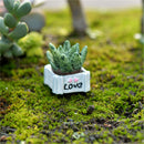 Moss Micro Landscape Ornaments Love Pot Plant Mix Size Fairy Garden DecorCraftLJ
