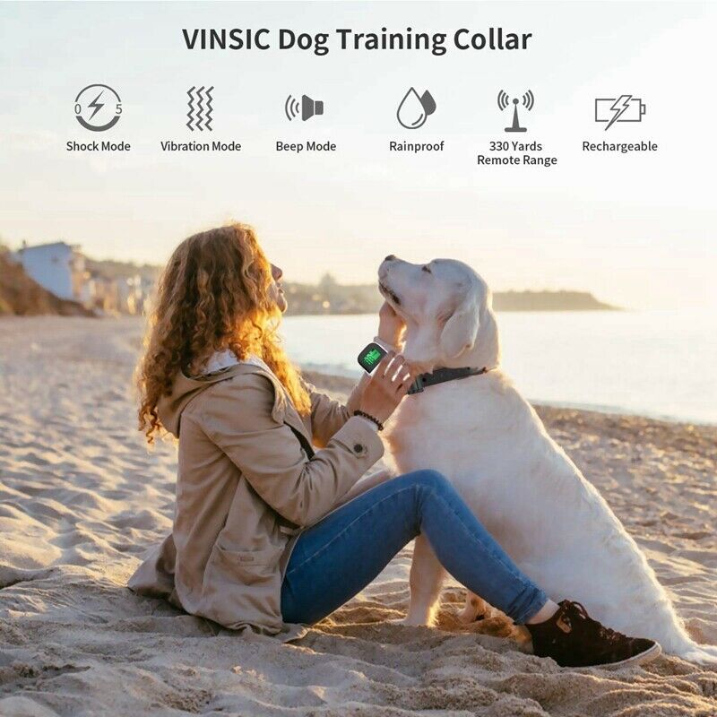 Shock Collar for Dogs Dog Training Collar with Remote Remote Control Mini D