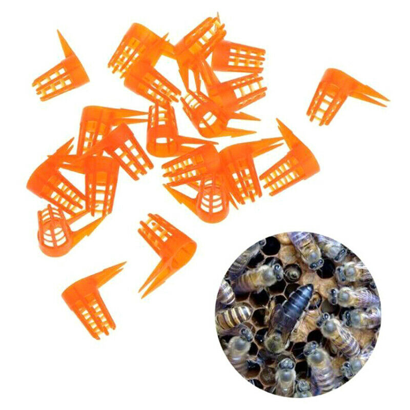 20Pcs/Set Bee Queen Cell Cover Beekeeping Tool Beekeeper Plastic Cage Protect OZ