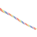 Parachute Cord with 7 strands, 550 lbs, 100 ft.Rainbow