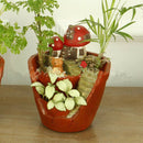Fairy Garden House Planter Pot Cute Mini Mushroom House Plant Pot, Creative