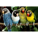 5D DIY Diamond Painting Parrots Cross Stitch Embroidery Rhinestones Mosaic