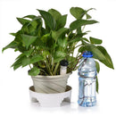 8 x Self-Watering Probes Indoor Automatic Plant Watering Device