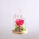 Glass Display Cloche Bell Jar Dome Flower Immortal Preservation Vase Bird