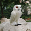 Lifelike Feather Owl Decoy Bird Repellent Scarecrow Halloween Decor White
